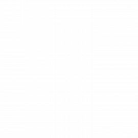 PayPlan